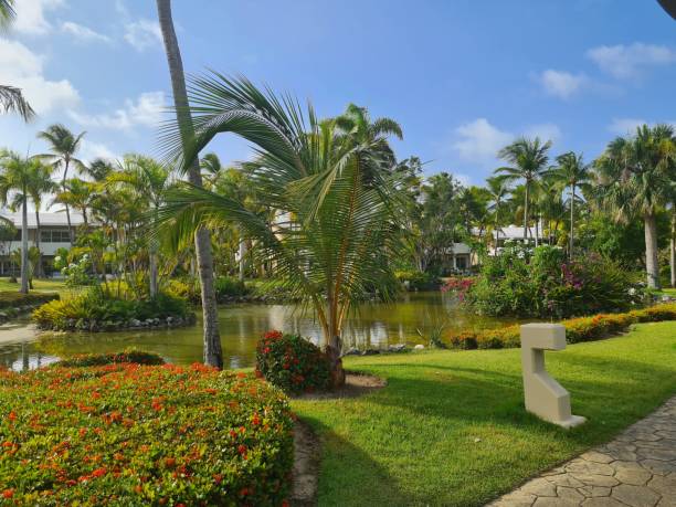 istock The Fabulous Garden 18 1471392025