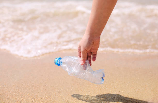 istock Volunteer collect trash, plastic garbage bottles on the beach. Ecology, environment, pollution and ecological problems concept 1471394461