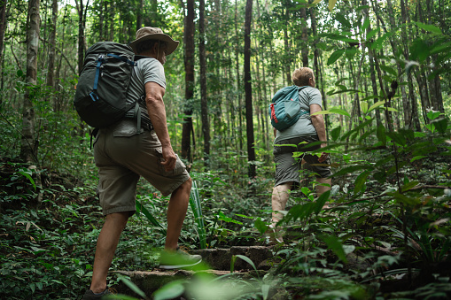 Rear view of a senior couple with backpacks climbing stairs in the lush tropical forest.