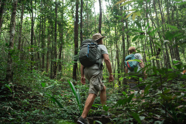 istock Senior couple exploring the tropics 1471395984
