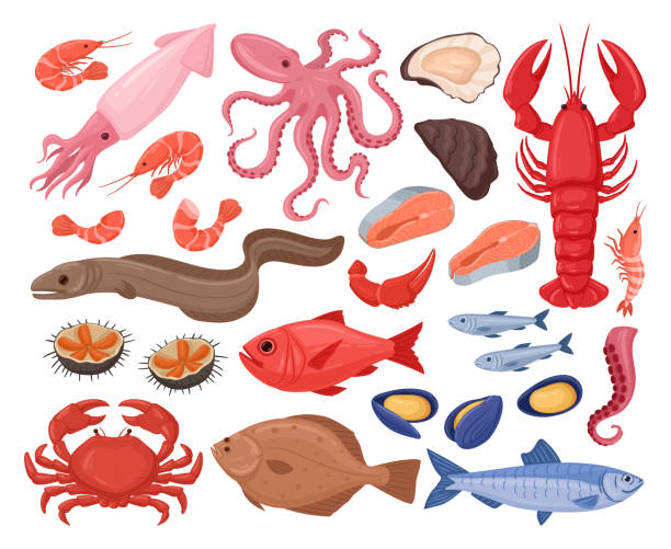 만화 해산물입니다. 랍스터, 굴, 가재, 조개류, 참치, 연어, 지중해 식단, 맛있는 해산물 메뉴 평면 벡터 일러스트 레이 션 세트. 신선한 해산물 수집 - lobster seafood prepared shellfish crustacean stock illustrations