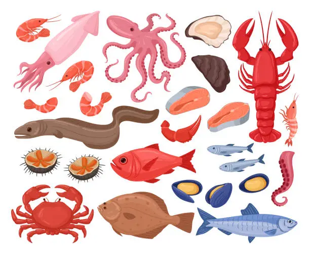 Vector illustration of Cartoon seafood. Lobster, oyster, crayfish, shellfish, tuna and salmon, mediterranean diet, tasty seafood menu flat vector illustration set. Fresh sea food collection