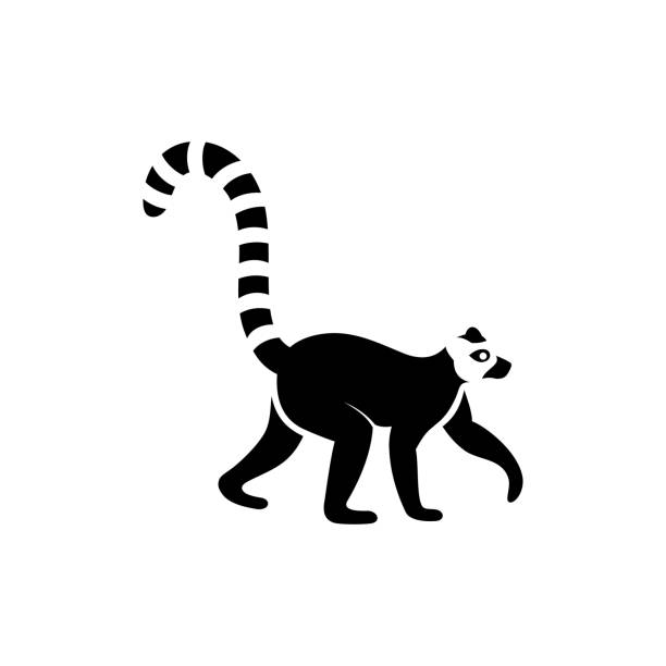 logo wektorowe lemura - lemur stock illustrations