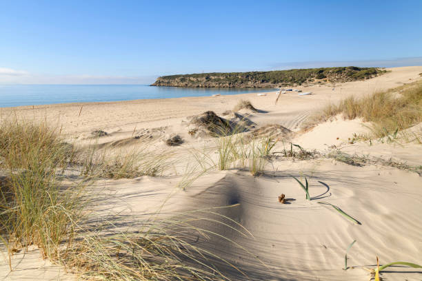 istock Bolonia Beach - Tarifa - Cadiz 1471401352