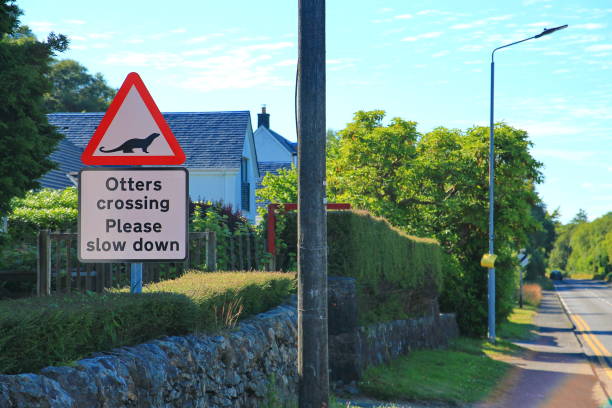 istock Road sign for otters crossing 1471405670