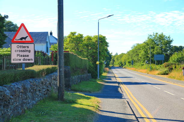 istock Road sign for otters crossing 1471406190