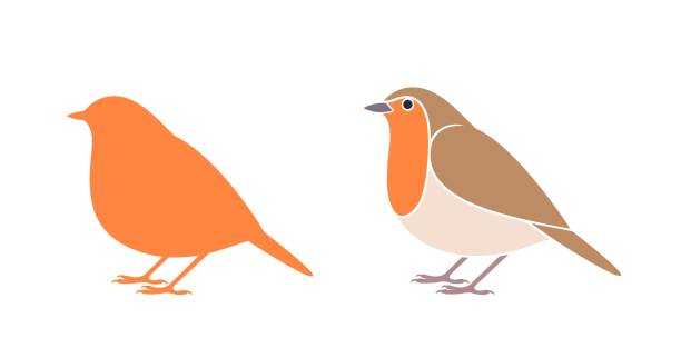 robin vogel logo. isolierter rotkehlchenvogel auf weißem hintergrund - rotkehlchen stock-grafiken, -clipart, -cartoons und -symbole