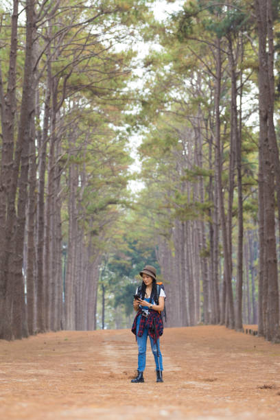 istock Female explores backpack through beautiful pine forest. Female Traveler with backpack and straw hat looking at tropical  pine forest 1471409362