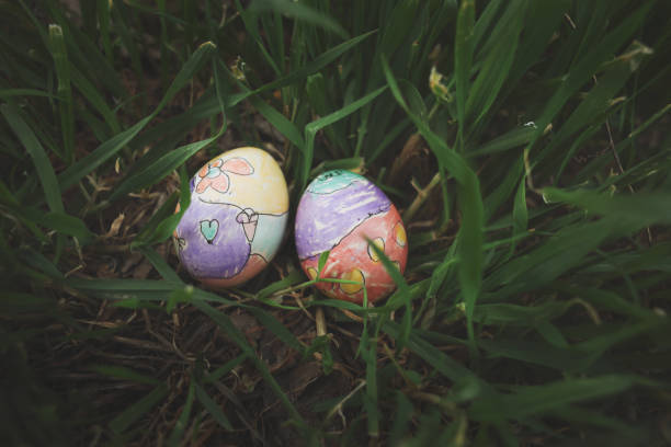 Colorful easter eggs in a basket on meadow. Living Easter bunny with eggs in a basket on a meadow in spring