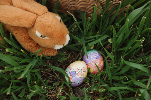 Colorful easter eggs in a basket on meadow. Living Easter bunny with eggs in a basket on a meadow in spring