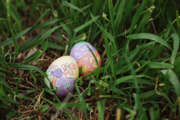 Colorful easter eggs in a basket on meadow. Living Easter bunny with eggs in a basket on a meadow in spring