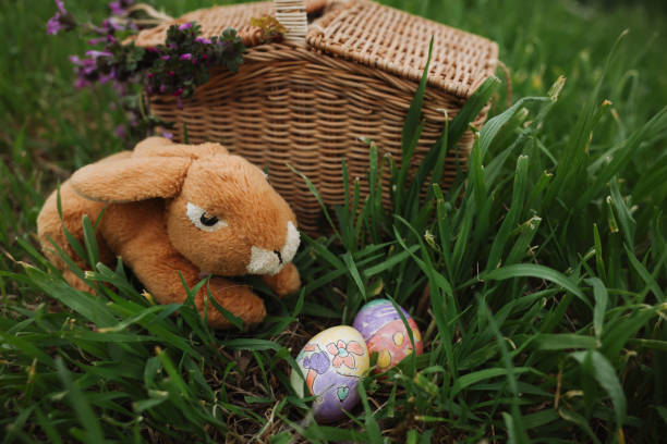 Colorful easter eggs in a basket on meadow. Living Easter bunny with eggs in a basket on a meadow in spring