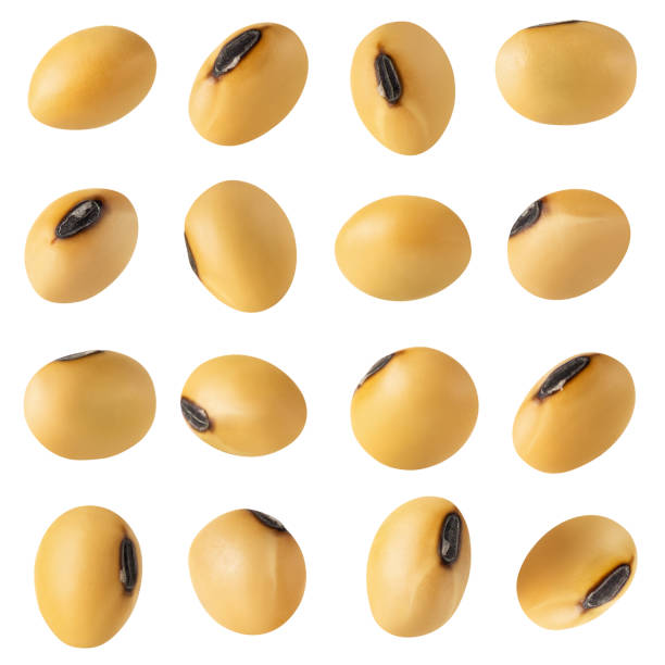 istock set of dry soybeans isolated on white 1471419030
