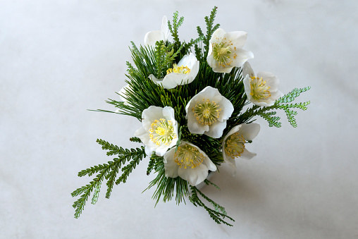 close up of elegant flowers, bouquet