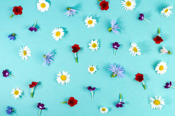 istock Pattern of bright summer flowers on a blue background, top view 1471420765