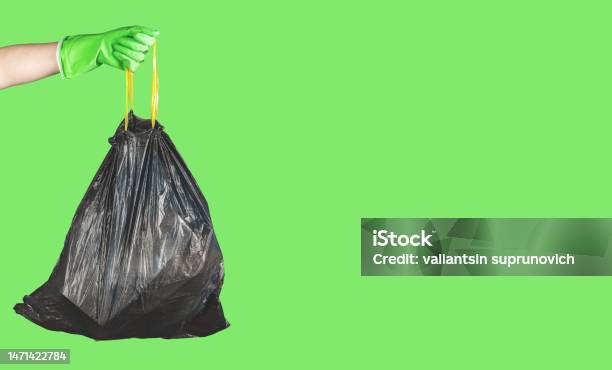 Hand In Glove Holding Handles Of Black Plastic Disposable Trash Bag Full Of Garbage Waste On Green Banner Background With Copy Space For Text Stock Photo - Download Image Now