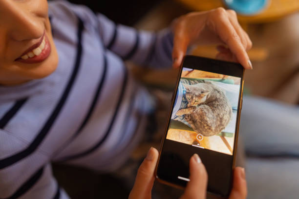 istock Capturing the moment. Animal lover. 1471423297