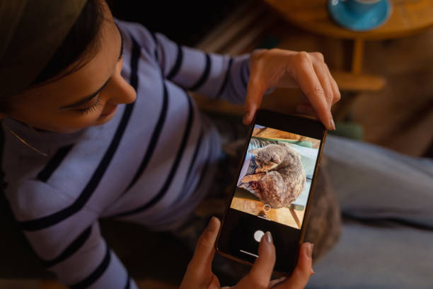 istock Capturing the moment. Animal lover. 1471423369
