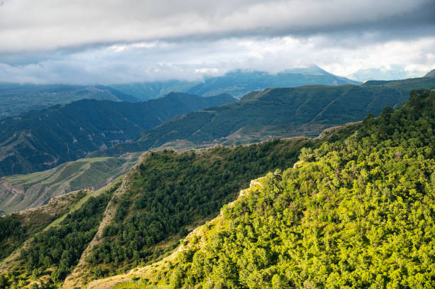 istock Landscape with mountains with trees, grass, flowers on a cloudy summer day. 1471427971