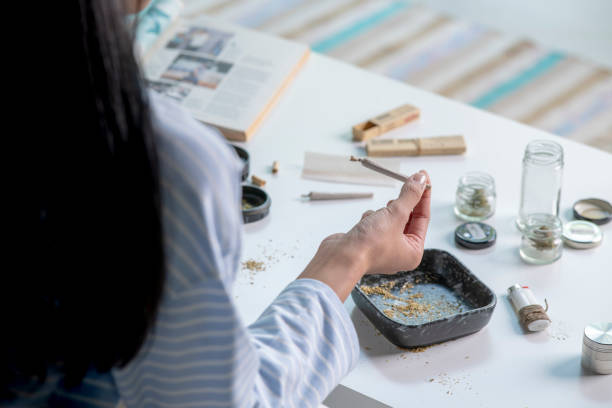 istock Young Asian Woman preparing marijuana at home. 1471428178