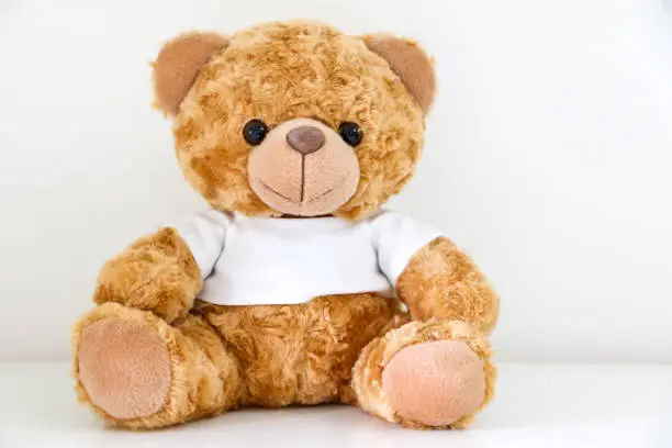 Warm cuddly brown teddy bear wearing white t-shirt sitting down, white background