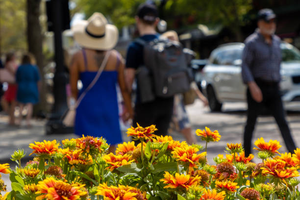 istock People walk behind flowers 1471435453