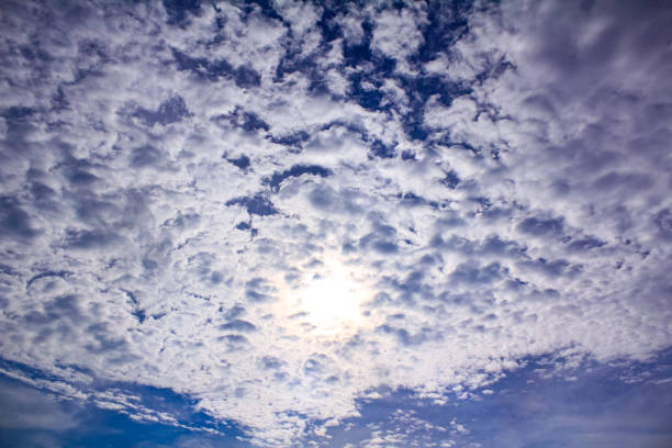 Bottom view on clouds, cumulus clouds in blue sky view from below. Sunlight through clouds, uneven clouds covering the sun. For background, wallpaper, digital artwork use and etc..