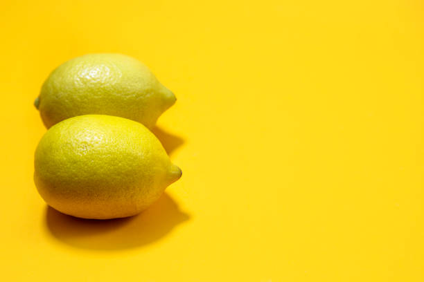 istock Two lemons on yellow background, women breast concept, copy space, place for text 1471440301