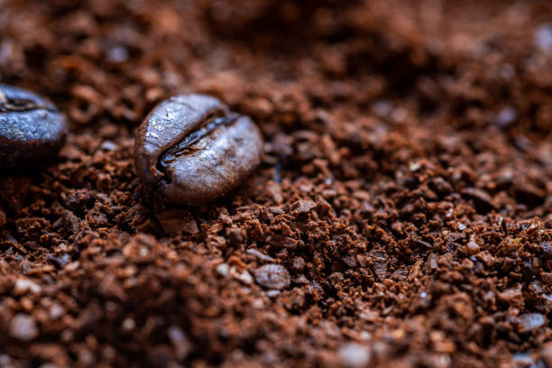 istock coffee powder and two coffee beans 1471441903
