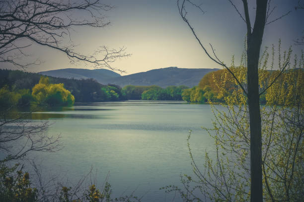 beautiful spring scenery with pond and tree around