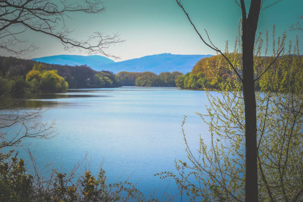 beautiful spring scenery with pond and tree around