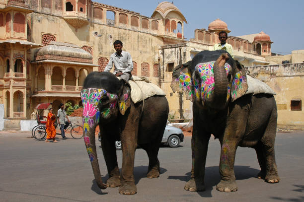 Rajasthan, India - March 08, 2006: Elephants circulating through the urban center of the city