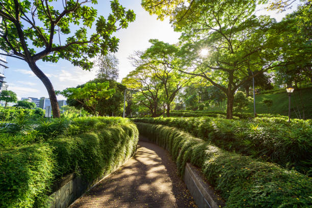 Beautiful walkway at fort canning park in Singapore with sunlight in the morning stock photo