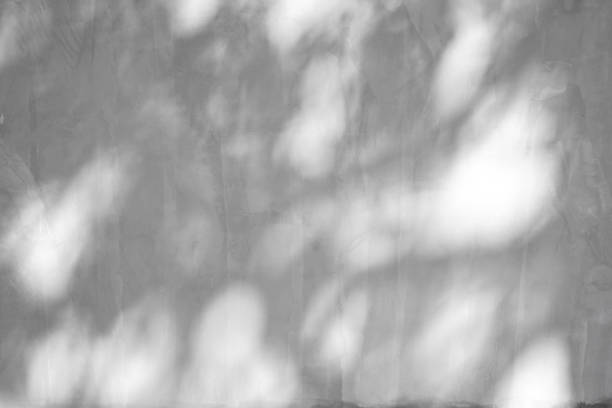 istock White cement wall background and textured with shadow of leaves and trees 1471449284