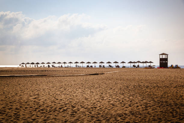 Row of parasol in the sand