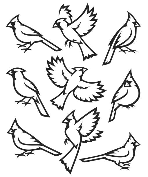 Stylised Birds Stylized Birds - Northern Cardinal northern cardinal stock illustrations