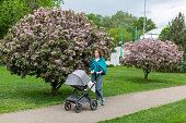 A woman walks with a stroller near flowering trees