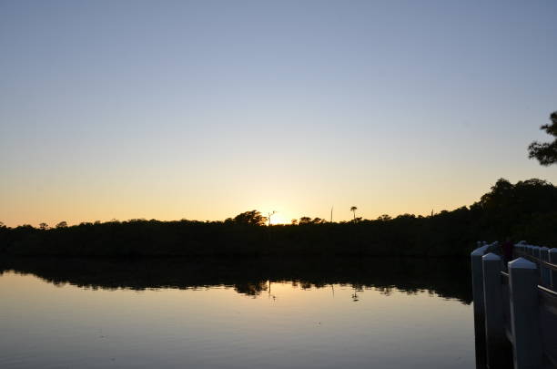istock pond or lake water at sunset with trees at dusk 1471454584