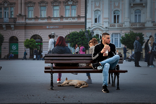 Picture of the central square of novi sad, Serbia, called Trg Slobode, with a man eating a sandwich on a bench above a serbian stray dog, a lutalica, having a break and sleeping. Novi Sad is the second largest city in Serbia and the capital of the autonomous province of Vojvodina. It is located in the southern portion of the Pannonian Plain. The Monument to Svetozar Miletić in Novi Sad is a bronze statue located in Novi Sad , capital city of Vojvodina in Serbia . The work is included in the list of cultural monuments of great importance of the Republic of Serbia. It was designed by Ivan mestrovic in 1939.