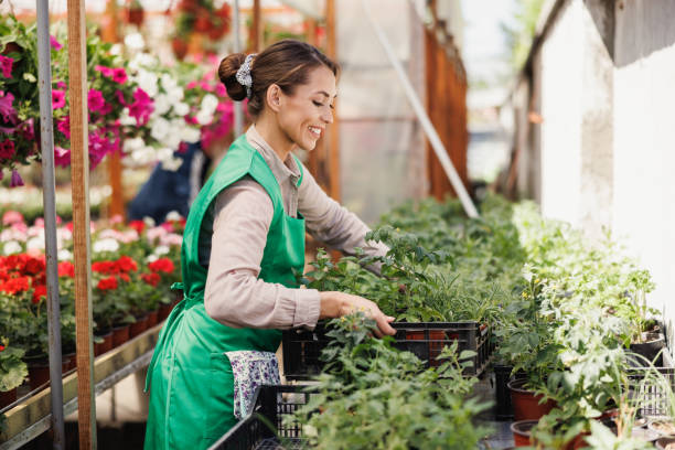 istock Woman Working In Garden Center 1471458373