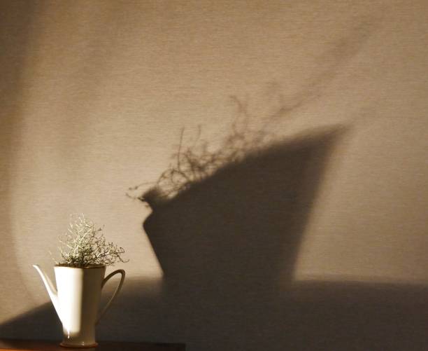 istock Shadow of a coffee can 1471459892