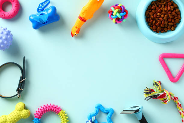 Pet shop banner design. Frame of dog toys, accessories and grooming supplies on blue background. stock photo