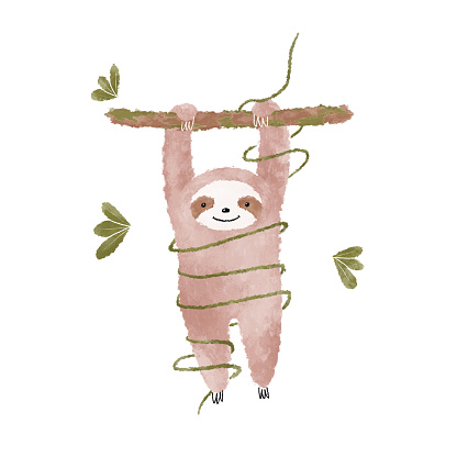 Baby pink sloth drawing. Funny tropical animals illustration