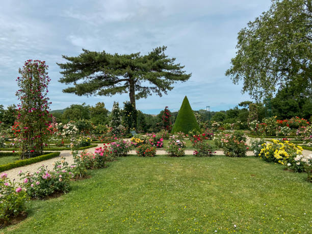 Bagatelle garden flowers in Paris Paris - France Bagatelle stock pictures, royalty-free photos & images