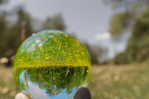 A beech woodland in spring through a fish-eye lensball Germany seen through a floating crystal ball