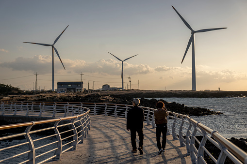 Windfarm in Dutch landscape with large field of sugar beets