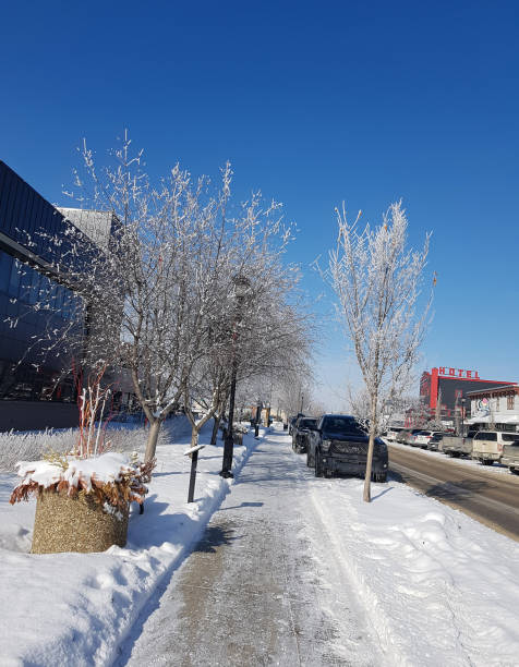 winter view