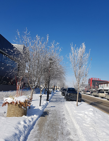 Looking down cleared sidewalk in small town Alberta . Beautiful Frost covered trees mid frame. Cochrane Historic Hotel in background. Brilliant blue sky.