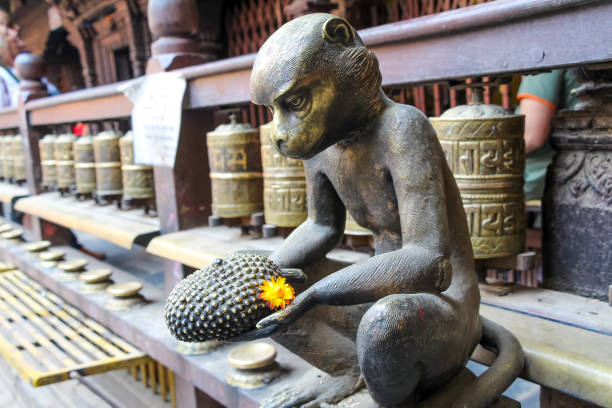 monkey statue in The Golden Temple in Nepal Bronze monkey statue with durian fruit sits next to prayer wheels in Hiranya Varna Mahavihar (The Golden Temple) temple. Soft focus. Religious heritage theme. prayer wheel nepal kathmandu buddhism stock pictures, royalty-free photos & images