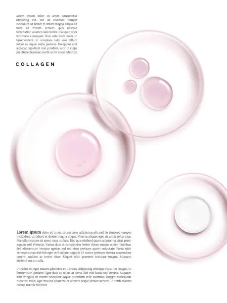 Vector illustration of Vector Petri Dish with Beauty Cream or Gel 3D Illustration under sunlight for Beauty and Healthcare Poster, Product Packaging, or Advertisement Background.